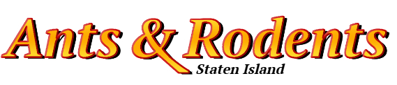 Staten Island Ant Exterminator & Rodent Control Company Logo